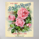 Search for catalogue posters Flowers