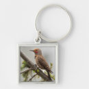 Search for flicker accessories Colaptes auratus
