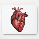 Search for surgeon electronics Anatomy