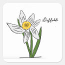 Search for daffodil stickers Garden