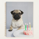 Search for candles office supplies Cute