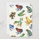 Search for tree frog cards Animal
