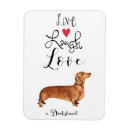 Search for weenies magnets Weenie dog