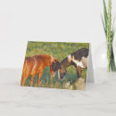 Search for chuck haney cards Wildlife