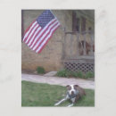 Search for apbt Breed