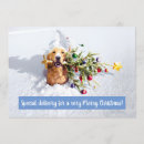 Search for snow christmas invitations Humour