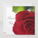 Search for bright colourful cards Flower