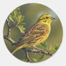Search for yellowhammer stickers Bird
