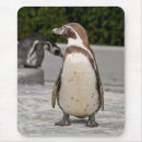 Search for the penguin mousepads Bird