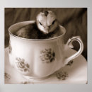 Search for bantam art Animal