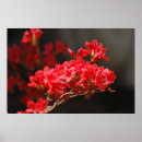Search for spring birthday art Floral