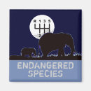 Search for endangered magnets Save