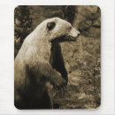 Search for brown bear mousepads Nature