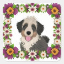 Search for floral frames stickers Daisies
