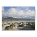 Search for strands Nature