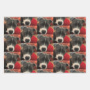 Search for bull wrapping paper Staffie
