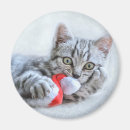 Search for biting round magnets Animal