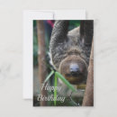 Search for hang out cards Animal