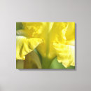 Search for iris flowers canvas prints Floral