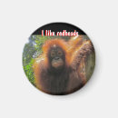 Search for redhead magnets Red hair