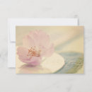 Search for japanese cherry blossom invitations Flower