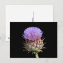 Search for scottish photography Flower