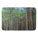 Search for forest trail Trees