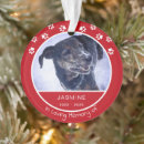 Search for loss pet memorial ornaments Red