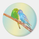Search for budgie magnets Cute