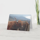 Search for highlander cards Scottish