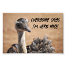Search for birds of a feather posters Cute