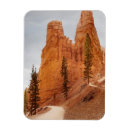 Search for looping magnets Utah