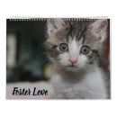 Search for foster Best
