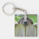 Search for german shepherds key rings Animal