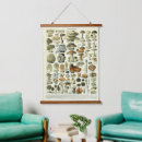 Search for champignons posters Mushrooms