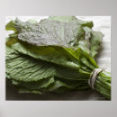 Search for freshness posters Green