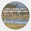 Search for wetland stickers Swamp