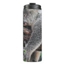 Search for koala bear mugs Sleeping