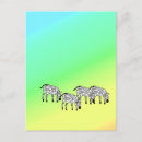 Search for cute zebra postcards Animal