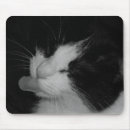 Search for white cat mousepads Photography