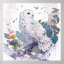 Search for owl portrait posters Bird