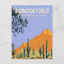 Search for vintage arizona postcards Saguaro cactus