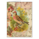 Search for linnet Rose linnet