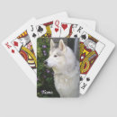 Search for siberian husky gifts Sled