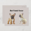 Search for dog friend postcards Animals
