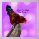 Search for funny rooster posters Bird