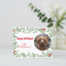 Search for pet christmas postcards Script