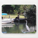 Search for florida birds mousepads Water