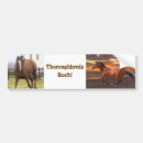 Search for thoroughbred bumper stickers Horses