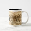 Search for african wildlife mugs South africa